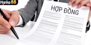 Điều Khoản và Điều Kiện Hello88: Quy Định Cần Biết 2 Nội dung liên quan đến quy định điều khoản điều kiện cá cược